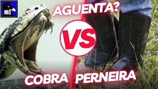 Cuidado PERNEIRA não segura picada de SERPENTE em Testes com Luva Bota Botina e cobras [upl. by Nnalyrehs]