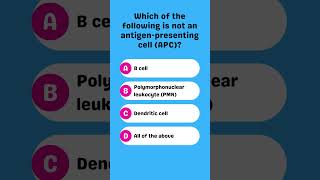 Which of the following is not an antigenpresenting cell APC [upl. by Kant183]