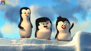 Die Pinguine aus Madagascar  Preview  die ersten 4 Minuten  sehenswert extra HD [upl. by Htebesile83]