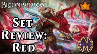 Bloomburrow Limited Set Review Red  Magic the Gathering [upl. by Renckens]