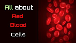 All About Red Blood Cells – Hindi – Quick Support [upl. by Yart271]