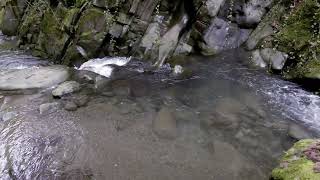 CASCADAS DE GUANGA  XIBLU Y XURBEO ASTURIAS [upl. by Niamrej]