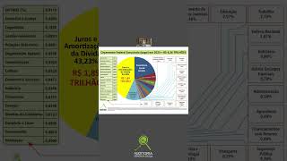 O gráfico de pizza da ACD escancara o privilégio do Sistema da Dívida no Brasil [upl. by Sissel356]