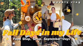 Hello September 🍂🎃 Cozy Mornings PSL Sirup amp Scones Food Shop amp neue Ziele  Weekly Vlog 219 [upl. by Derte]