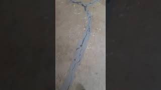 Repair cracks on basement floor [upl. by Araeit235]