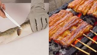 How to clean and cook American eel [upl. by Enelram]