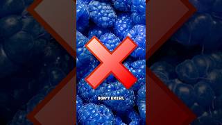 BLUE RASPBERRIES DO NOT EXIST [upl. by Karrah]