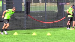 Training vom 5 August 2015  FK Austria Wien  Real Audio [upl. by Aracat152]