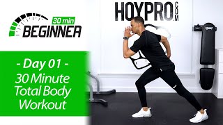 30 MIN BEGINNER Full Body At Home Workout  BEGINNERS 01 [upl. by Agustin]