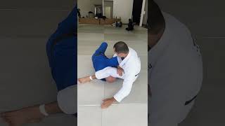 BARATOPLATA 🔥 bjj jiujitsu oss [upl. by Eecyaj]