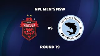 NPL Men’s NSW Round 19 Wollongong Wolves FC v Sutherland Sharks FC [upl. by Kurtzman]