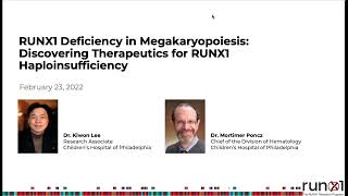 RUNX1 Deficiency in Megakaryopoiesis Discovering Therapeutics for RUNX1 Haploinsufficiency [upl. by Carrnan623]