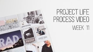 Week 11 Project Life Process with Kellie Stamps [upl. by Alarise966]