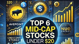 Undervalued Mid Cap stocks with High Insider Confidence 2024 10 14 [upl. by O'Mahony90]