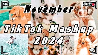 Tiktok Mashup November 🐶2024🐶 Not Clean [upl. by Divadleahcim]