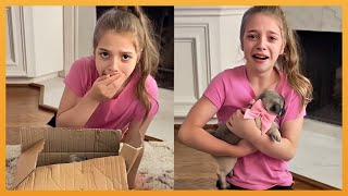 NEW PUPPY SURPRISE COMPILATION 2024  WHOLESOME SURPRISE MOMENTS [upl. by Adnuhser]