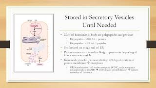 Endocrine Physiology NPLEX I Review 2023 [upl. by Ellehcram]