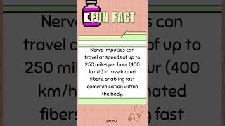 ⚡LightningFast Nerve Signals—Which Part of Your Body Is the Speedster mededtrivia biology quiz [upl. by Enileuqkcaj]