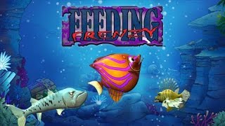 Feeding Frenzy Gameplay DEMO  Xbox X [upl. by Whorton]