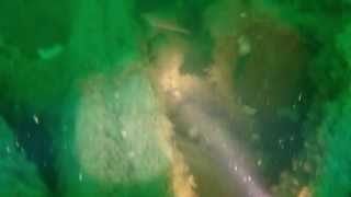 Mv Actuosity 07 07 2013 Great Yarmouth BSAC wreck dive Sea Palling [upl. by Pavia]