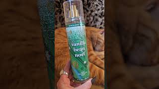 Bath And Body Works 🌲🍪 Vanilla Bean Noel Scent Review [upl. by Carolyne]