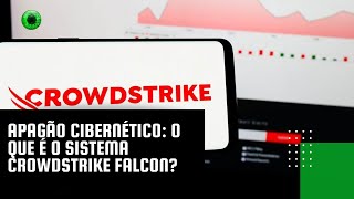 Apagão cibernético O que é o sistema CrowdStrike Falcon [upl. by Ahtael944]