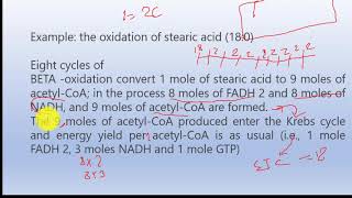 Beta Oxidation of Oleic acidCalculation of ATP [upl. by Apeed]