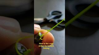 how to tie a egg sinker for bottom fishing fishing fishingknot [upl. by Kerman]