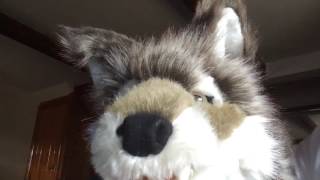 Folkmanis Grey Wolf Hand Puppet [upl. by Gabrila]