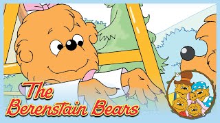 Berenstain Bears The Bad Habit The Prize Pumpkin  Ep16 [upl. by Tiersten464]