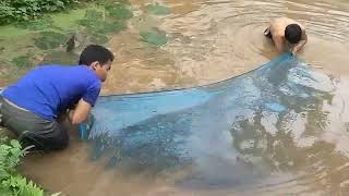 traditional way of fishing in the ponds [upl. by Alilak68]