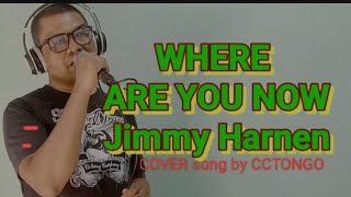 WHERE ARE YOU NOW Jimmy harnen ORIGINAL SONG COVER by clovlog1 music video solocover [upl. by Aniluj]