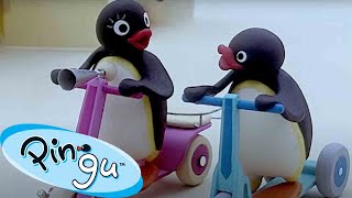 Pingu Surprises Everyone 🐧  Pingu  Official Channel  Cartoons For Kids [upl. by Ahsla]