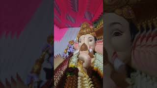 Pitamber Lane Cha Raja music song [upl. by Aina]