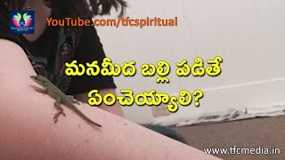 Effects And Remedies Of Lizard Falling On Body Parts  పైన బల్లిపడితే ఏంచెయ్యాలి With SubtitlesCC [upl. by Ttsepmet]