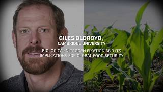 GIFSconf18 Biological Nitrogen Fixation amp Its Implications For Global Food Security by Giles Oldroyd [upl. by Chandless]