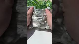 Pumice Stone Slime ASMR adult edition 🍃🌚 [upl. by Etteloc683]