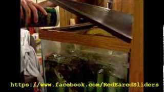 How to Get Your Red Eared Slider to Eat Vegetables [upl. by Melisent]