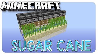 Hoe maak je SUGAR CANE FARMS 112  Survival Machines 3 [upl. by Alitha]