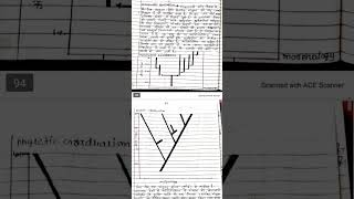 Phylogenetic gradualism and punctuated equilibrium msc zoology 1sem msc zoology notes [upl. by Borek]