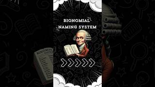 Binomial Naming System  IGCSE  GCSE oneminutelearning 12 biology [upl. by Pamela35]