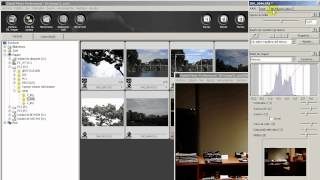 Tutorial Canon DPP en 20 minutos 33 [upl. by Llahsram]