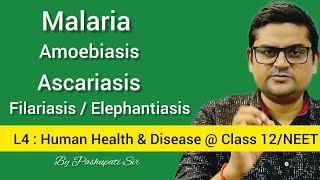 L4 Protozoan and Helminth Diseases  Malaria  Amoebiasis  Ascariasis  Filariasis  Class 12NEET [upl. by Pillsbury635]