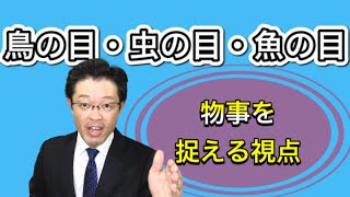 あなたは持ってる？ 鳥の目・虫の目・魚の目 ビジネスパーソン向け 視点 アイデア [upl. by Notrub]