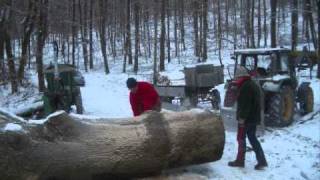 THE LUMBERMAN short movie [upl. by Aivilo]