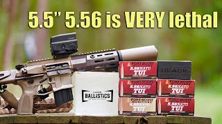 55quot 556 Ballistics Test and Comparison Maxim Defense PDXSD [upl. by Asia63]