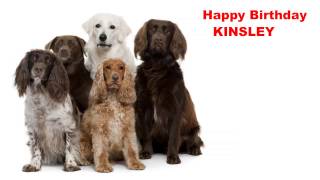 Kinsley Dogs Perros  Happy Birthday [upl. by Treblihp]