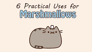 6 Practical Uses for Marshmallows [upl. by Aelat355]