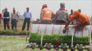 Rice transplanter in Nepal धान राेप्ने मेसिन [upl. by Mor]