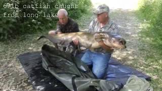 Third session on Steves lake Darenth Fishing complex [upl. by Notfilc]